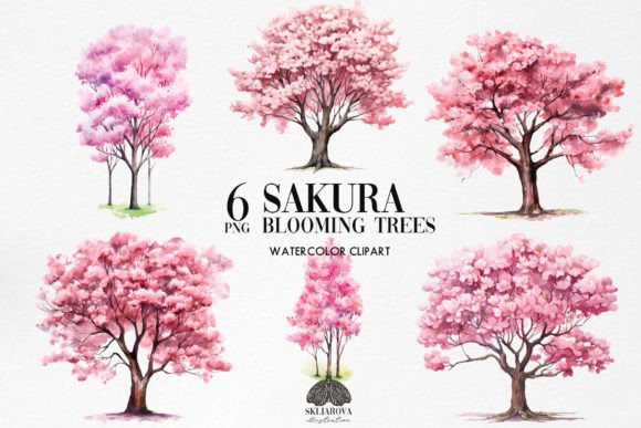 Designing with Bloom: A Guide to Sakura Clipart